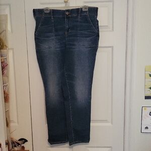 Torrid Blue Denim Jeans